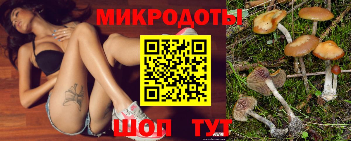 Псилоцибиновые грибы Psilocybine cubensis Зеленогорск