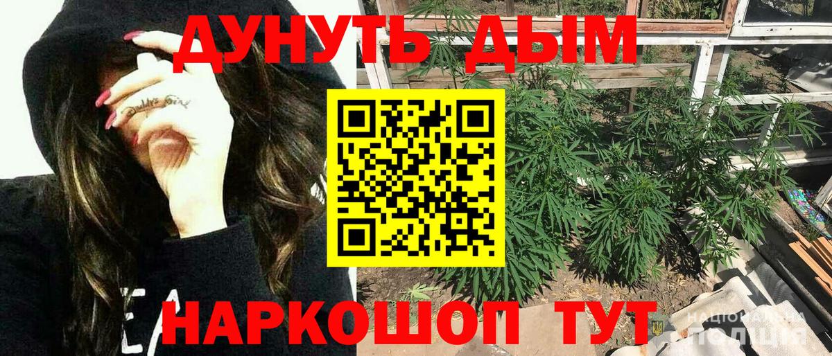 Бошки марихуана конопля Зеленогорск